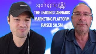 Springbig interview preview