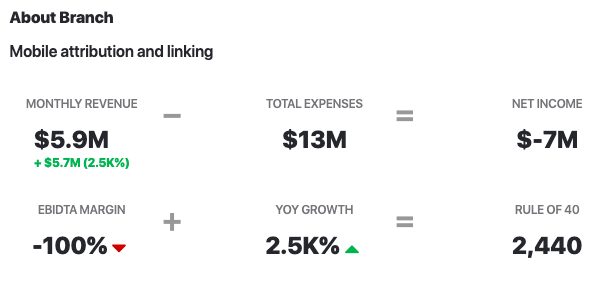 Branch.io Revenue vs Expenses 2020