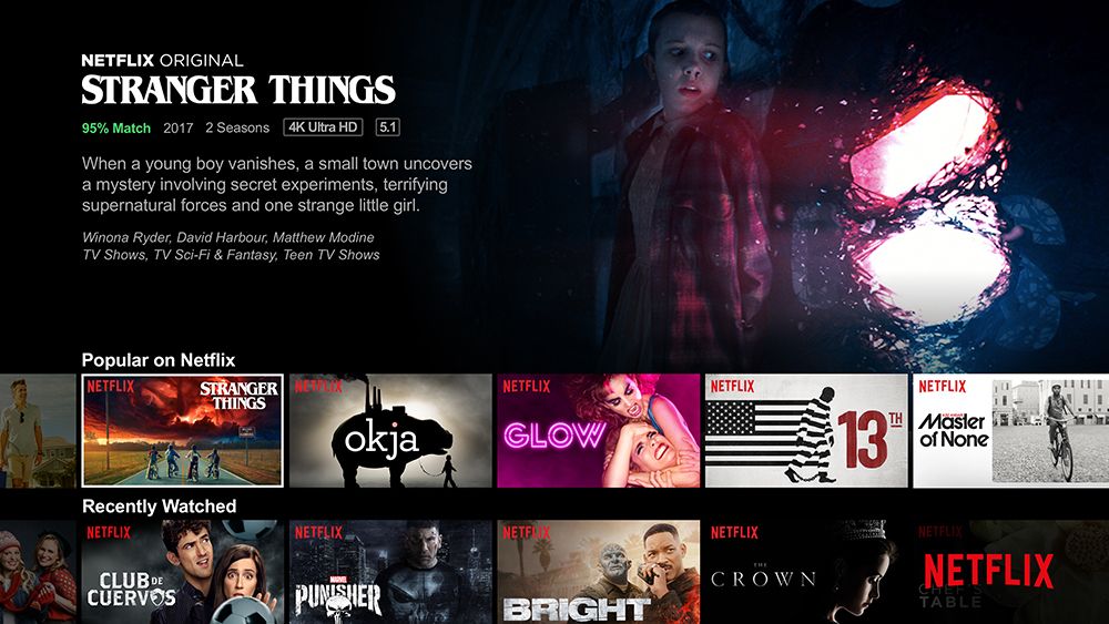 Netflix - SaaS Company