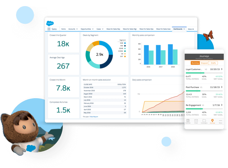 Salesforce - SaaS Company