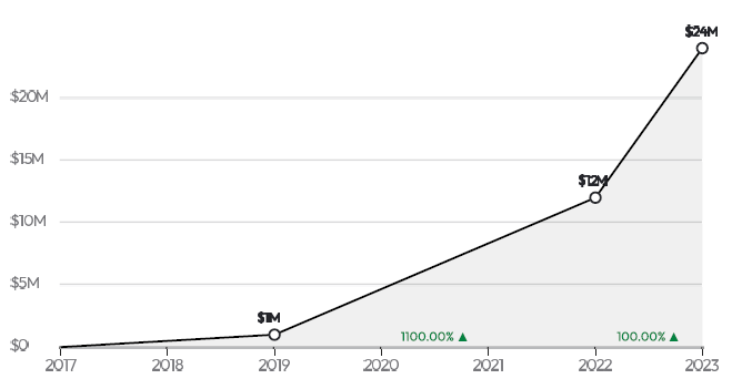 SafetyWing Revenue