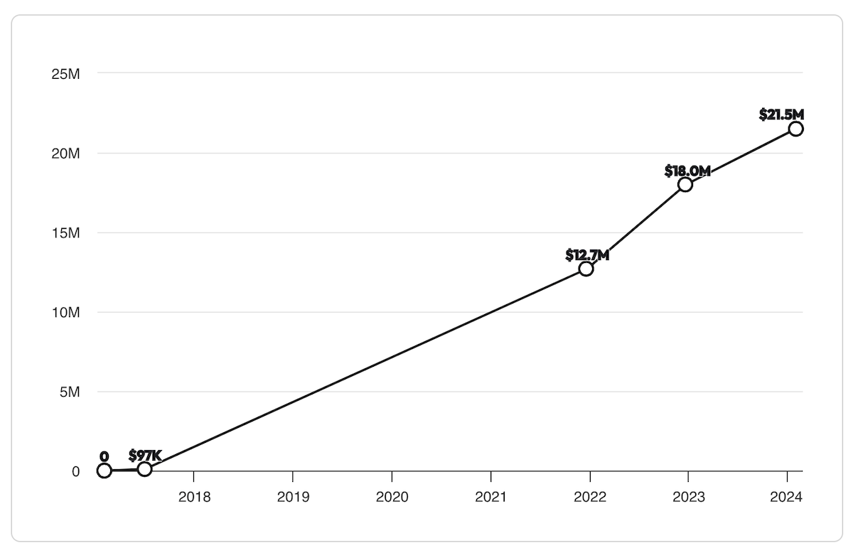 vizypay revenue