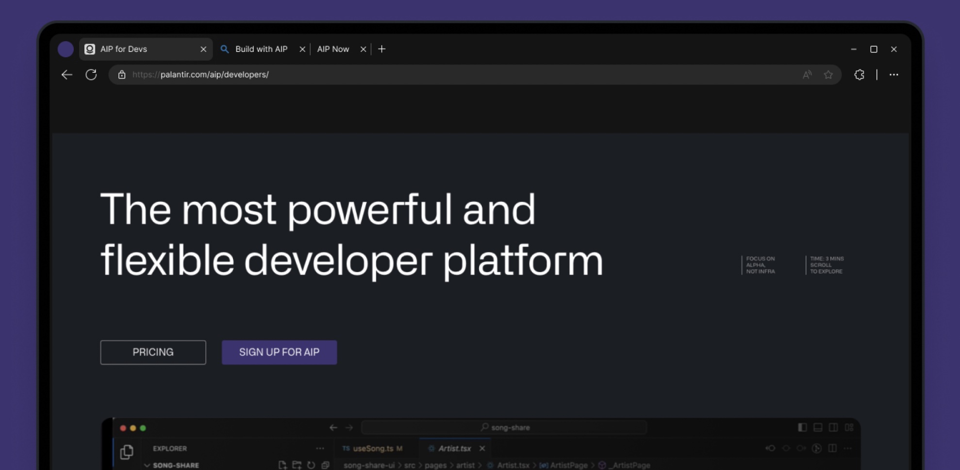 Palantir's Website Image on Development