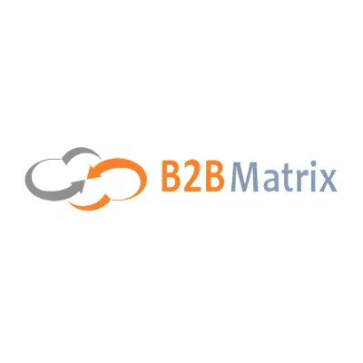 B2B Matrix logo