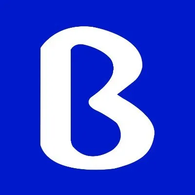Baystream logo