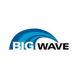 BigWave Software logo