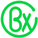 BixGPT logo
