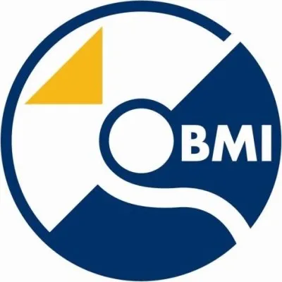 B.M.I. Imaging Systems, Inc. logo