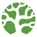 Bonsai logo