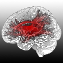 BrainAnalyze logo