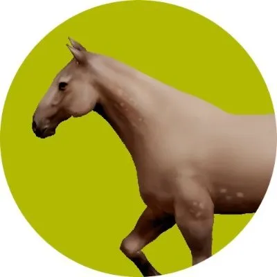Horse logo