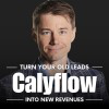 Calyflow AI Agency logo