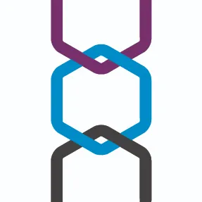 ConectSx logo