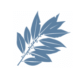 DaphnaBI logo