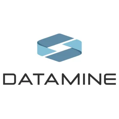 Datamine Group logo