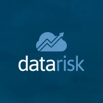 Datarisk.io logo