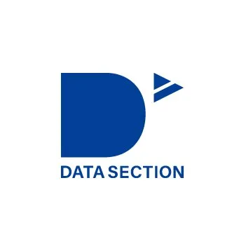Datasection logo