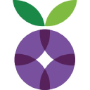 Datasmoothie logo