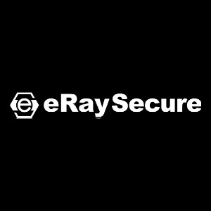 eRay Secure Co Ltd logo