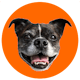 HuntHelper, LLC. logo