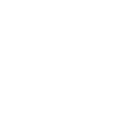 Lauren International logo