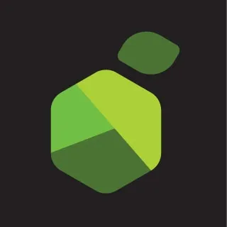 Lemontech logo