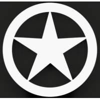 Lonestar Data Holdings logo