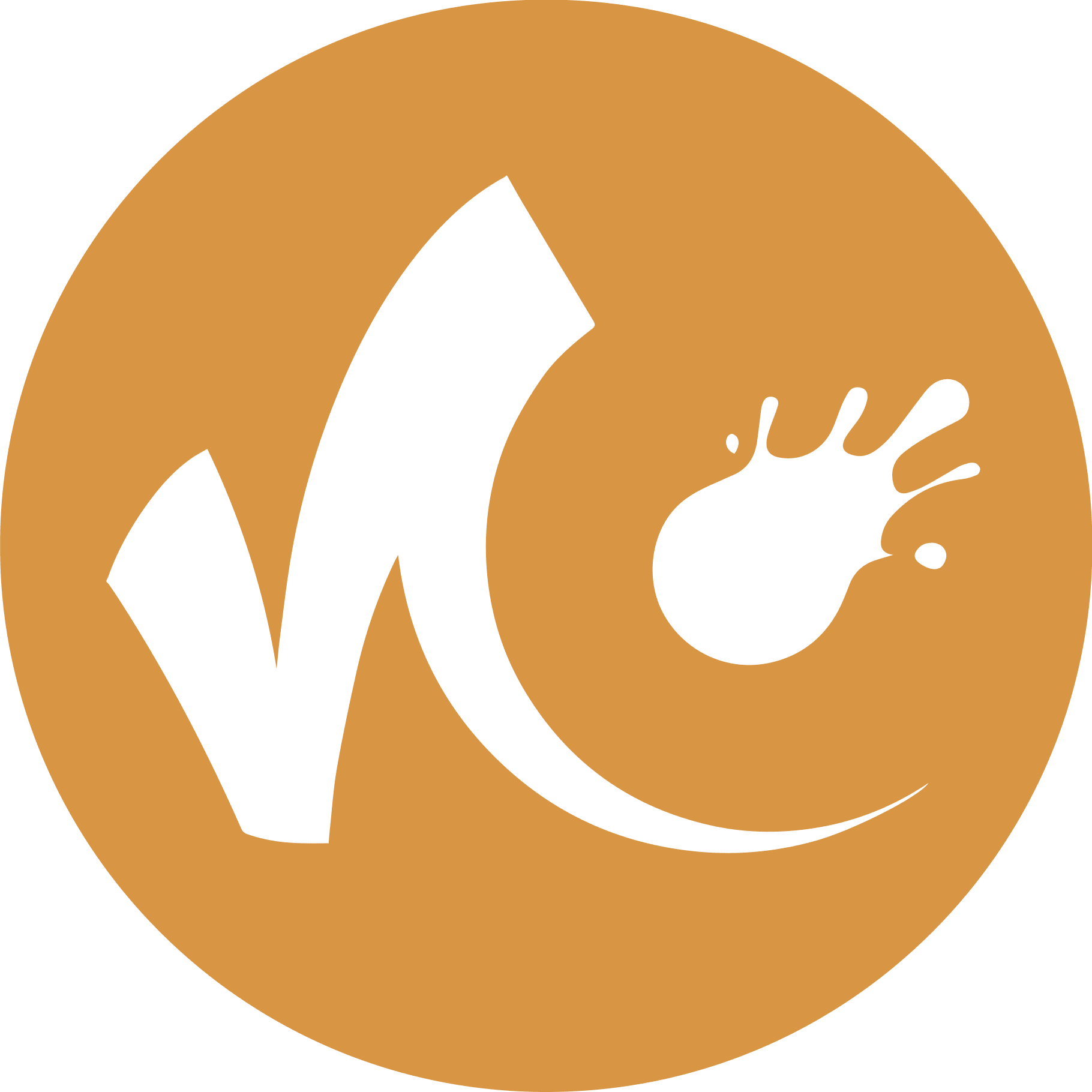Nimble Collective logo