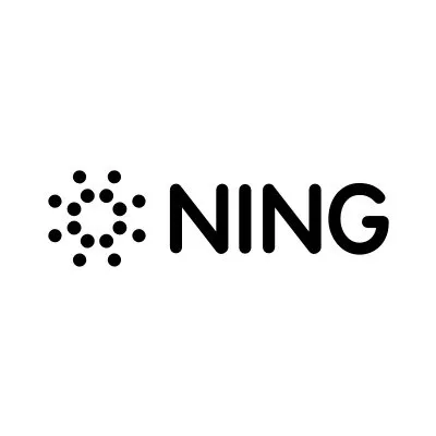 Ning Interactive logo
