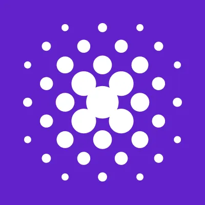 Peekd logo