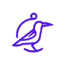 Perch Insights logo