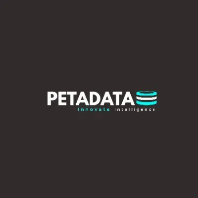 PETADATA AI logo