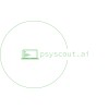 Psyscout.ai logo