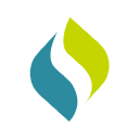 Remedy Systems logo
