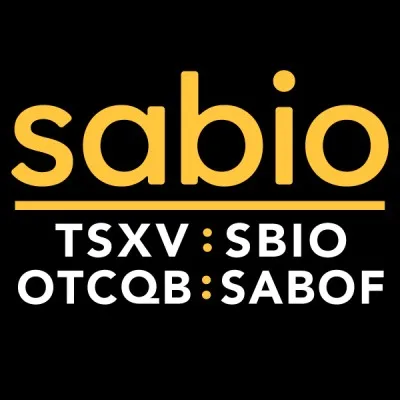 Sabio Holdings logo