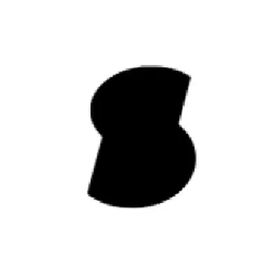 Salley logo