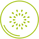Solecular logo