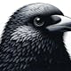 Website Raven logo
