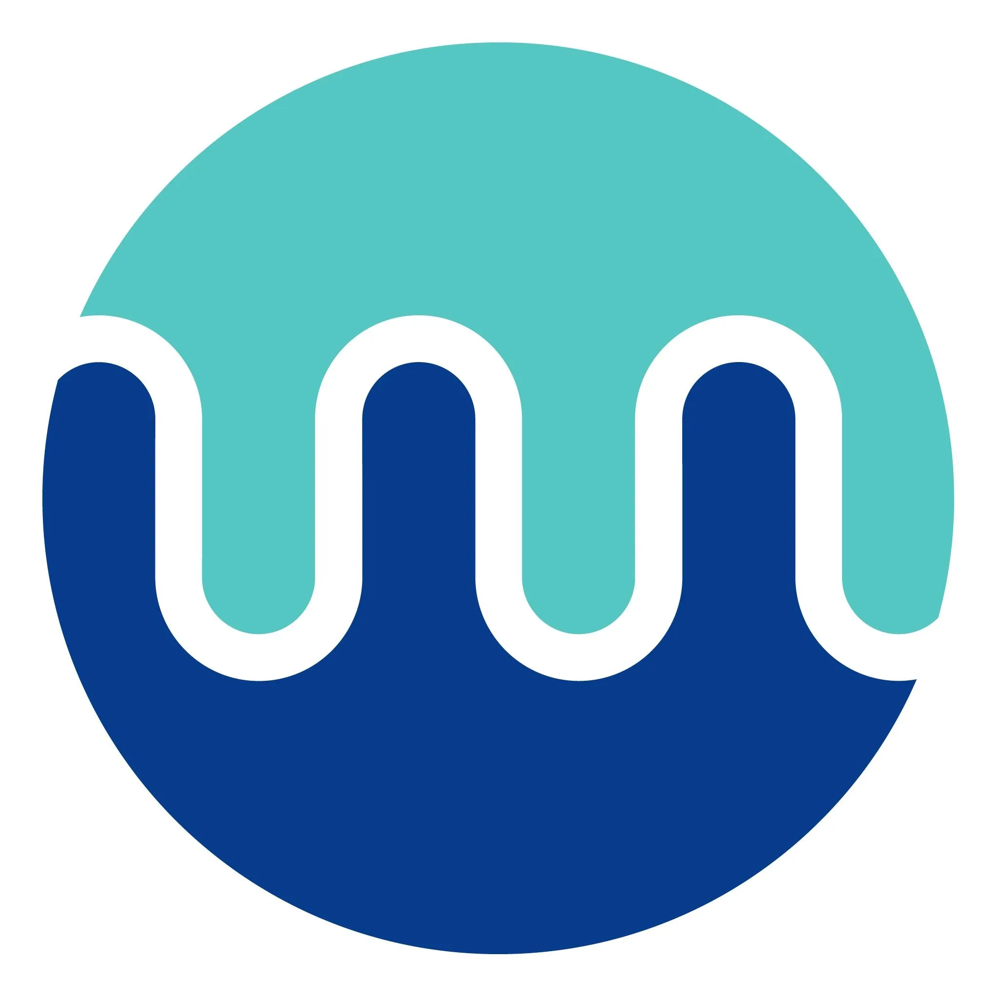 WhiteSource logo