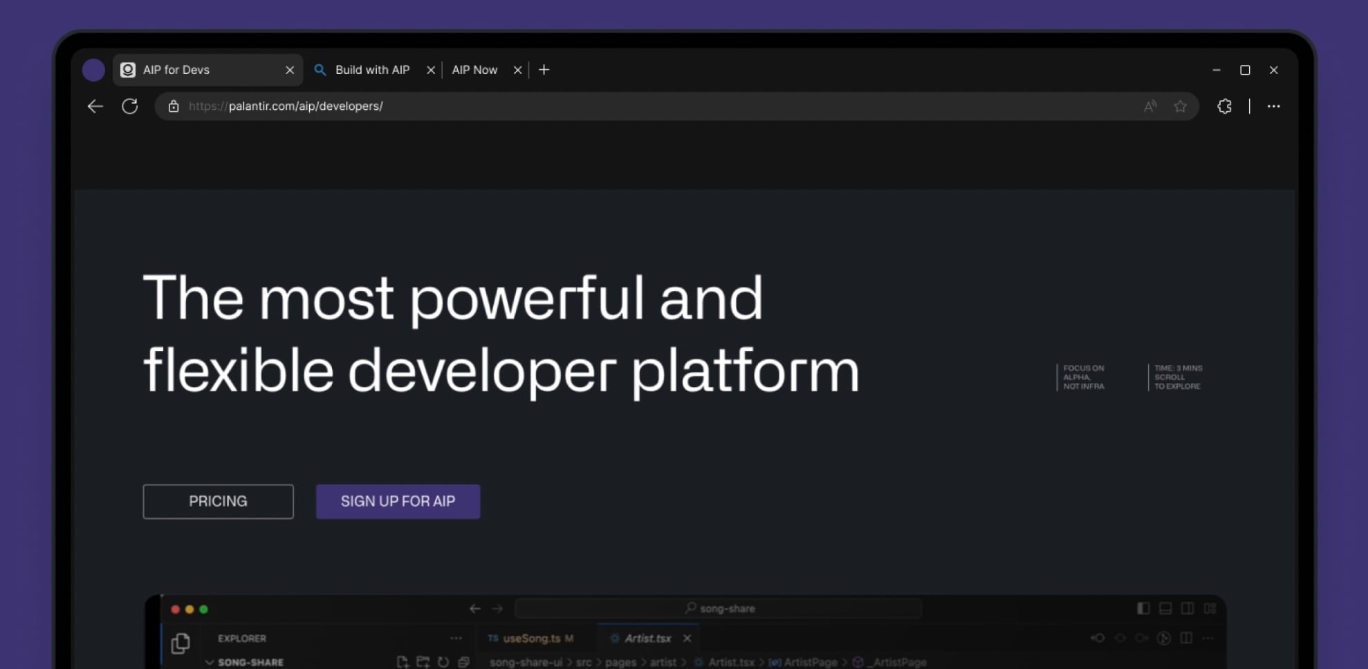 Palantir's Website Image on Development